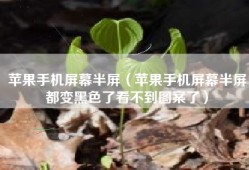 苹果手机屏幕半屏（苹果手机屏幕半屏都变黑色了看不到图案了）