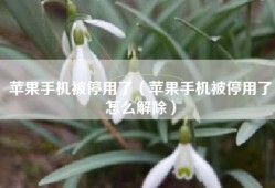 苹果手机被停用了（苹果手机被停用了怎么解除）