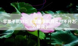苹果手机网页（苹果手机网页打不开怎么解决）
