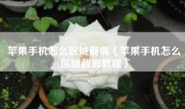 苹果手机怎么区域截屏（苹果手机怎么区域截屏教程）