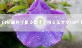自制简易手机支架（手机支架大全100种）
