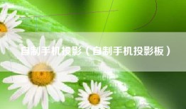 自制手机投影（自制手机投影板）