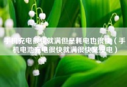 手机充电很快就满但是耗电也很快（手机电池充电很快就满很快又没电）
