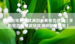 手机充电很快就满但是耗电也很快（手机电池充电很快就满很快又没电）