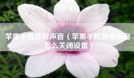 苹果手机锁屏声音（苹果手机锁屏声音怎么关闭设置）