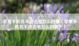 苹果手机充不进去电怎么回事（苹果手机充不进去电怎么回事？）