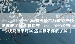 vivo、OPPO公布100W快充技术方案 这些技术你该了解!手机快充「vivo、OPPO公布100W快充技术方案 这些技术你该了解!」