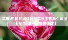 苹果6如何截屏快捷键苹果手机怎么截图「苹果6如何截屏快捷键」