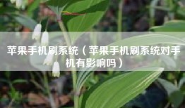 苹果手机刷系统（苹果手机刷系统对手机有影响吗）