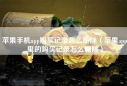 苹果手机app购买记录怎么删除（苹果app里的购买记录怎么删除）