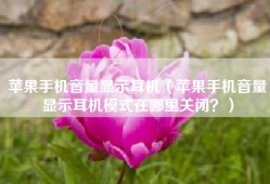 苹果手机音量显示耳机（苹果手机音量显示耳机模式在哪里关闭？）