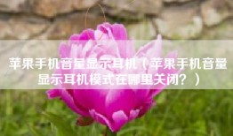 苹果手机音量显示耳机（苹果手机音量显示耳机模式在哪里关闭？）