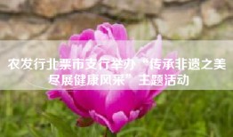 农发行北票市支行举办“传承非遗之美 尽展健康风采”主题活动