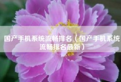 国产手机系统流畅排名（国产手机系统流畅排名最新）
