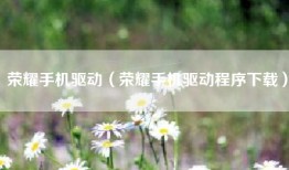 荣耀手机驱动（荣耀手机驱动程序下载）