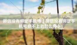 微信没有绑定手机号（微信没有绑定手机号登不上去怎么办）