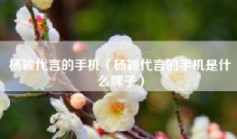 杨颖代言的手机（杨颖代言的手机是什么牌子）