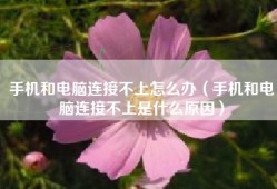 手机和电脑连接不上怎么办（手机和电脑连接不上是什么原因）