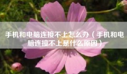 手机和电脑连接不上怎么办（手机和电脑连接不上是什么原因）