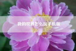 我的世界怎么玩手机版