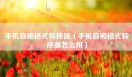 手机音频格式转换器（手机音频格式转换器怎么用）