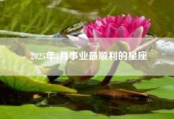 2025年3月事业最顺利的星座