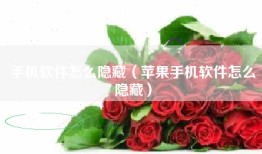 手机软件怎么隐藏（苹果手机软件怎么隐藏）