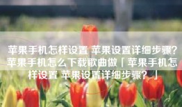 苹果手机怎样设置 苹果设置详细步骤？苹果手机怎么下载歌曲做「苹果手机怎样设置 苹果设置详细步骤？」