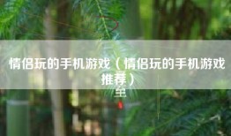 情侣玩的手机游戏（情侣玩的手机游戏推荐）