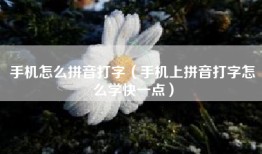 手机怎么拼音打字（手机上拼音打字怎么学快一点）