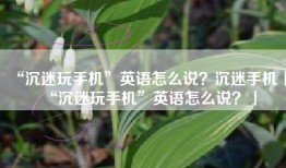 “沉迷玩手机”英语怎么说？沉迷手机「“沉迷玩手机”英语怎么说？」