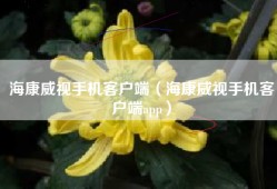 海康威视手机客户端（海康威视手机客户端app）