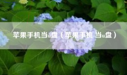 苹果手机当u盘（苹果手机 当u盘）