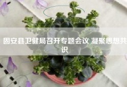 固安县卫健局召开专题会议 凝聚思想共识