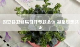 固安县卫健局召开专题会议 凝聚思想共识