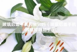 玻璃后盖手机容易碎吗（玻璃后盖手机容易碎吗知乎）