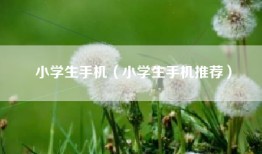小学生手机（小学生手机推荐）