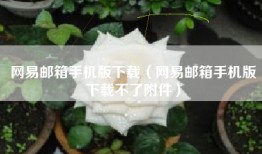 网易邮箱手机版下载（网易邮箱手机版下载不了附件）