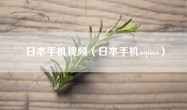 日本手机视频（日本手机aquos）