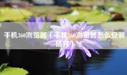 手机360浏览器（手机360浏览器怎么安装插件）