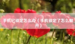 手机已锁定怎么办（手机锁定了怎么解开）