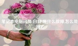 笔记本电脑闪屏(白屏)是什么故障,怎么处理？