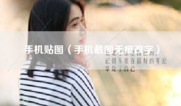 手机贴图（手机截图无痕改字）