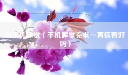 与手机睡觉（手机睡觉充电一直插着好吗）