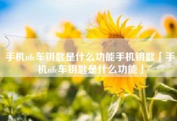 手机nfc车钥匙是什么功能手机钥匙「手机nfc车钥匙是什么功能」
