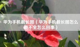 华为手机截长图（华为手机截长图怎么截不全怎么回事）