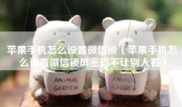 苹果手机怎么设置微信锁（苹果手机怎么设置微信锁屏密码不让别人看）