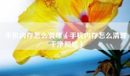 手机内存怎么清理（手机内存怎么清理干净彻底）