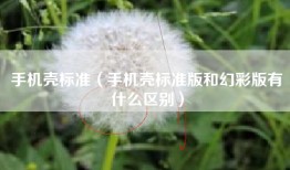 手机壳标准（手机壳标准版和幻彩版有什么区别）