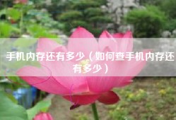手机内存还有多少（如何查手机内存还有多少）